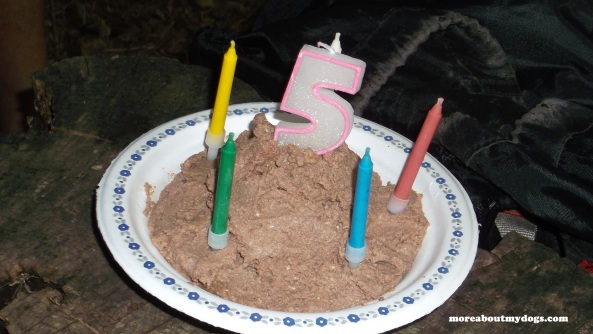 Teal'c Birthday Cake